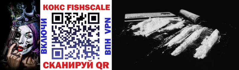 как найти закладки Альметьевск COCAIN Fish Scale
