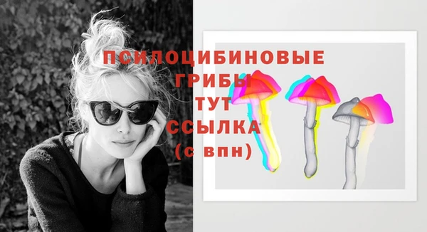 прущая мука Гусиноозёрск