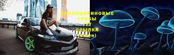 шишки Гусев
