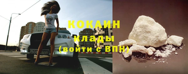 шишки Гусев