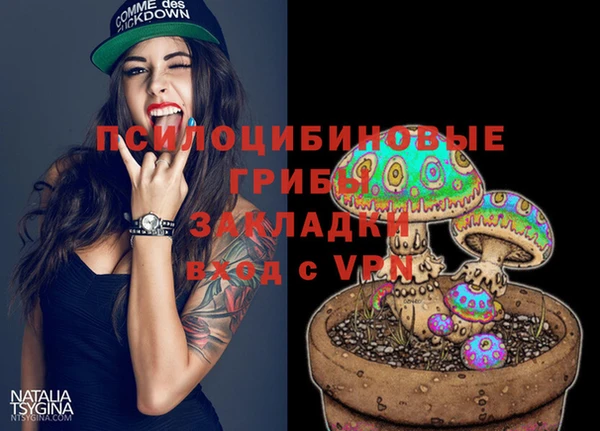 амфетамин Гусь-Хрустальный