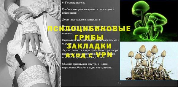 прущая мука Гусиноозёрск