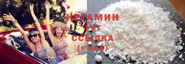 шишки Гусев