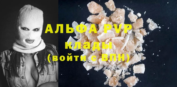 шишки Гусев