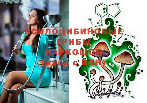 шишки Гусев