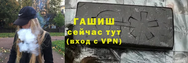 шишки Гусев