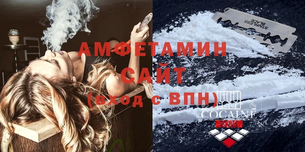 шишки Гусев
