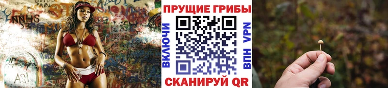 Псилоцибиновые грибы GOLDEN TEACHER  Альметьевск 